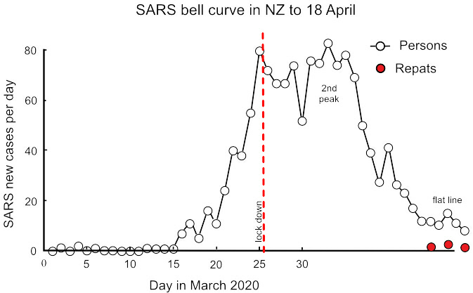 Graph 19